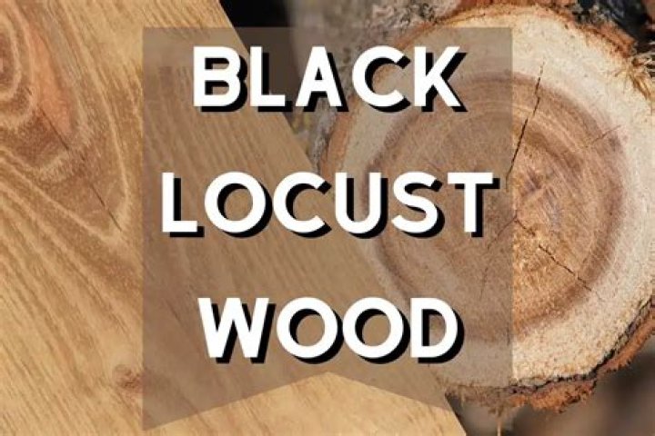 Can you cook with honey locust wood?