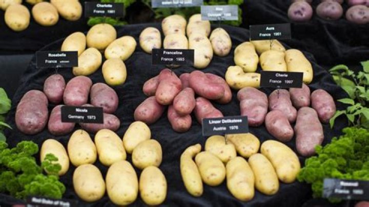 How many varieties of potatoes are there in the UK?