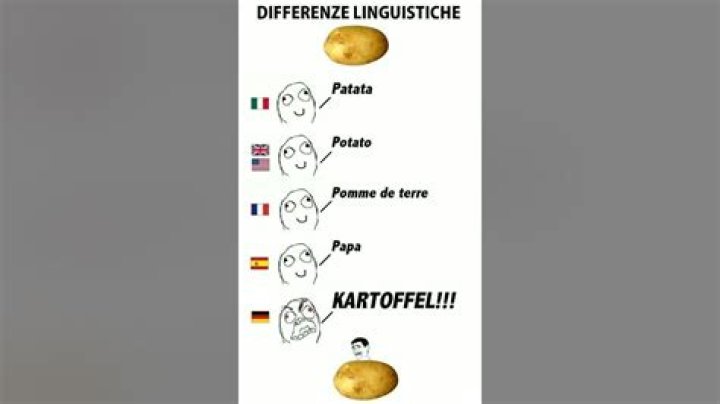 What is the word for potato in different languages?