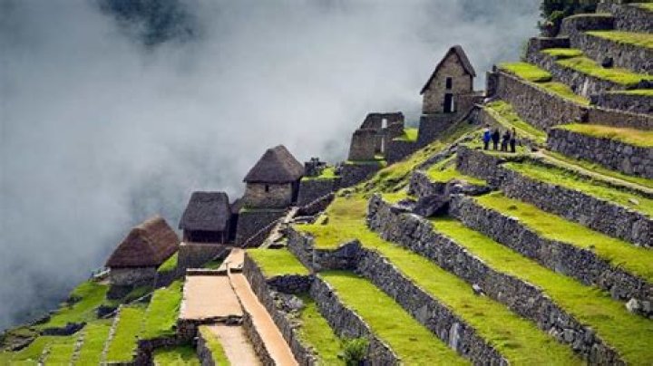 What types of potatoes did the Incas grow?